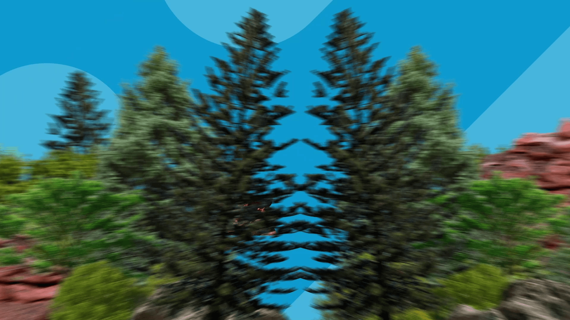 New Optisite Gif 1