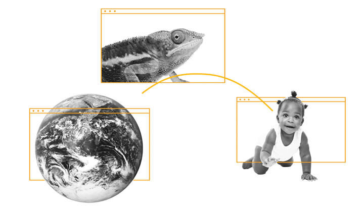 Optious Subscription New Images 4